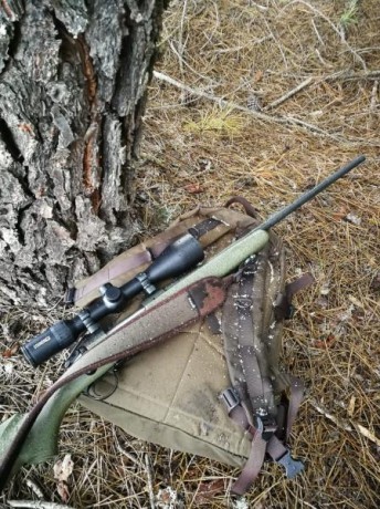 Un buen amigo me ha pedido anuncie su Bergara B14 270 win, sintético verde. Es un poco caprichoso, y ya 01