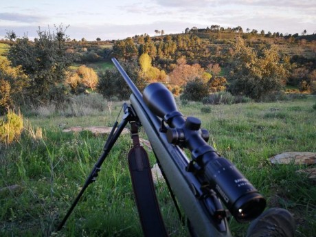 Un buen amigo me ha pedido anuncie su Bergara B14 270 win, sintético verde. Es un poco caprichoso, y ya 00