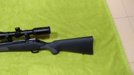 Rifle reservado 12
