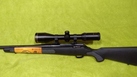 Rifle reservado 11