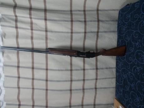 Vendo escopeta Fabarm semiatuomatica, calibre 12 magnum(12/76) cañon con chocke de una estrella de 90cm, 02