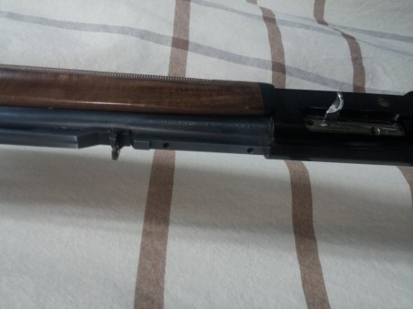 Vendo escopeta Fabarm semiatuomatica, calibre 12 magnum(12/76) cañon con chocke de una estrella de 90cm, 00