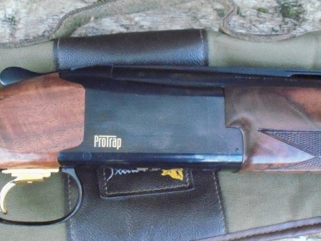 En 2012 la compañía FN Browning presento en sociedad su séptima generación del modelo B25, la Browning 31