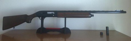 Vendo escopeta  BERETTA A301 

Semiautomática, con gases, y polichoque exterior.
Largo cañón 67 cm., con 02