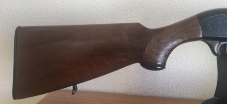 Vendo escopeta  BERETTA A301 

Semiautomática, con gases, y polichoque exterior.
Largo cañón 67 cm., con 01