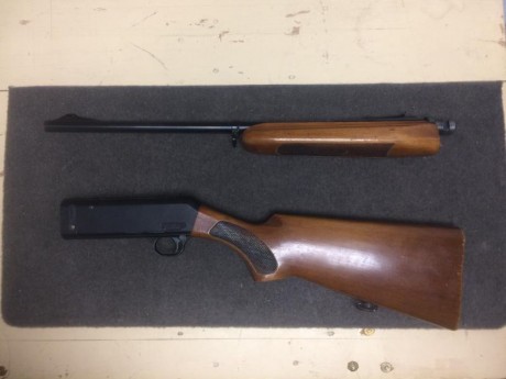 Cambio carabina franchi semiautomatica del 22LR, modelo del centenario, se carga por la culata, capacidad 01