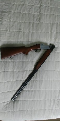 Hola.. un amigo vende una superpusta investarms calibre 410, en perfecto estado de uso y conservación 00