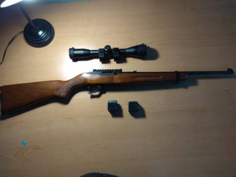 Hola, vendo Ruger 10/22 modelo Sporter.  Lleva, extensor de palanca de cargador, montura de visor, visor 00