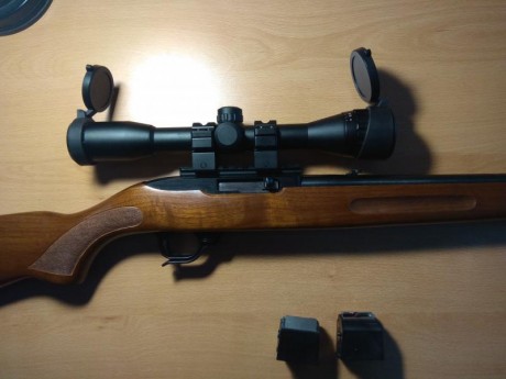 Hola, vendo Ruger 10/22 modelo Sporter.  Lleva, extensor de palanca de cargador, montura de visor, visor 12