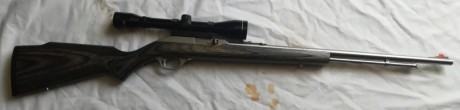 Se VENDE esta preciosa carabina semiautomática MARLIN 60 SS, fabricada en acero inoxidable, con culata 01
