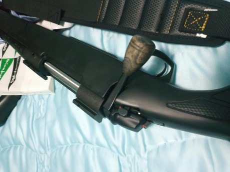 Buenas, queria abrir este debate para la gente que este buscando un rifle con las tres B y un calibre 10