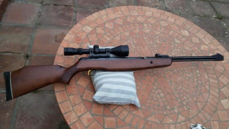 Buenas tardes. 
Vendo carabina BSA Silvestar en calibre 4,5. Esto es una carabina de las de antes, de 02