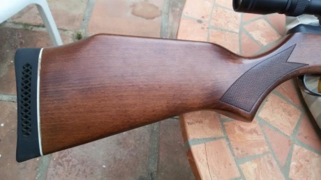 Buenas tardes. 
Vendo carabina BSA Silvestar en calibre 4,5. Esto es una carabina de las de antes, de 00