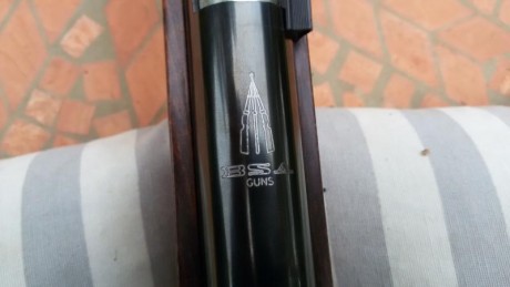Buenas tardes. 
Vendo carabina BSA Silvestar en calibre 4,5. Esto es una carabina de las de antes, de 11