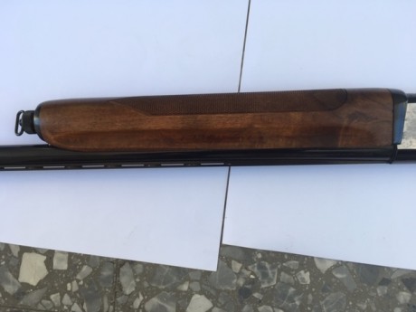 Vendo escopeta repetidora, calibre 12/70 y cañón de tres estrellas, ideal para la caza. Se encuentra en 20