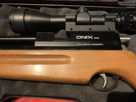 Es el modelo monotiro está casi sin uso 
Calibre 5,5
El visor no va incluido 
Tengo el silenciador que 02