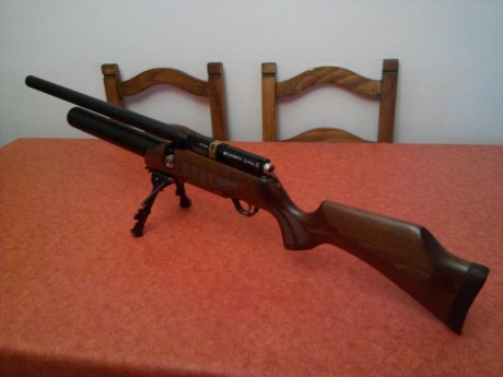 Por razones de falta de tiempo me deshago sel siguiente equipo:

- Carabina Cometa Lynx 6.35 PCP MK2 (el 02