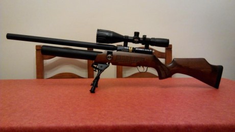 Por razones de falta de tiempo me deshago sel siguiente equipo:

- Carabina Cometa Lynx 6.35 PCP MK2 (el 00