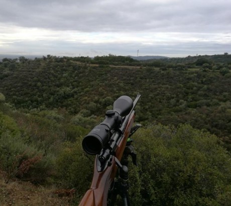 Buenas, vendo un remington 700 BDL del calibre 300 win mag, el rifle lleva un visor zeiss diavari Z de 32