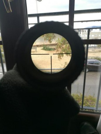 Buenas, vendo un remington 700 BDL del calibre 300 win mag, el rifle lleva un visor zeiss diavari Z de 31