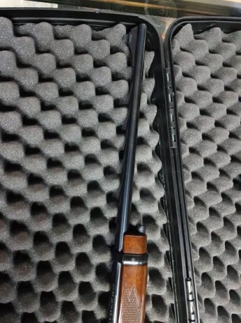 un amigo vende un palanquero 243 W impoluto,precioso donde los haya  650 € pide y el teléfono es 601265748

un 02