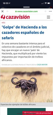 Supongo que con la falsa excusa de que de safari solo van los ricos o muy ricos, ahora hacienda los quiere 01