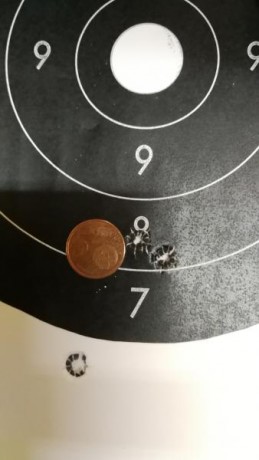 Hola.

Vendo Marlin 30 AS calibre 30-30. Cañón Micro Groove de 20" . Con señales de uso , pero en 30