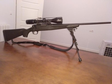 Vendo rifle Marlin XL7 en calibre 7mm08, con visor Burris 2,5-10x50 Ri modelo Euro Diamond, monturas Warne 02
