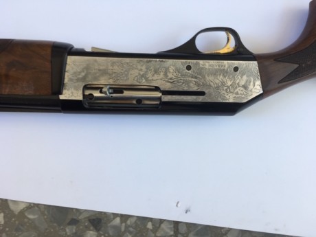 Vendo escopeta repetidora, calibre 12/70 y cañón de tres estrellas, ideal para la caza. Se encuentra en 01