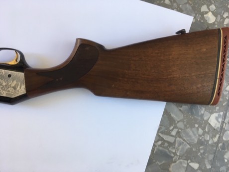 Vendo escopeta repetidora, calibre 12/70 y cañón de tres estrellas, ideal para la caza. Se encuentra en 11