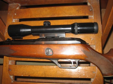 Hola.  Rifle semiautomático, es el de cañón largo con freno de boca calibre 30/06, dos cargadores de 2 32