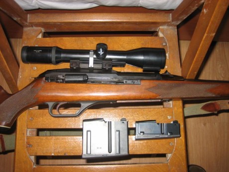 Hola.  Rifle semiautomático, es el de cañón largo con freno de boca calibre 30/06, dos cargadores de 2 31