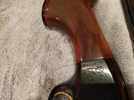 Escopeta semiautomática calibre 12 de la marca Beretta (Saut) Mod.A302. En muy buen estado ya que apenas 11
