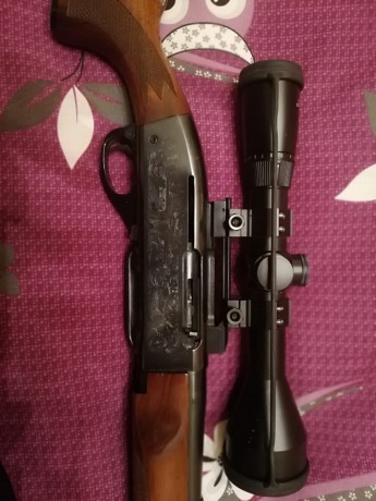 Hola, se que este post ya estara mas que hablado pero...
Alguien tiene un rifle asi.. remington 7400 en 21