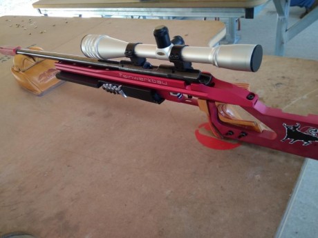VENDO CARABINA FEINWERKBAU CALIBRE 22 modelo 2602, COMO NUEVA , con su nombre indica ya es conocida por 100