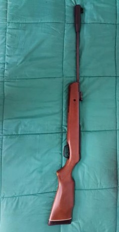Vendo carabina del 4.5 marca GAMO en Almería capital. Comprada por capricho y usada unas 10 veces. Buen 02