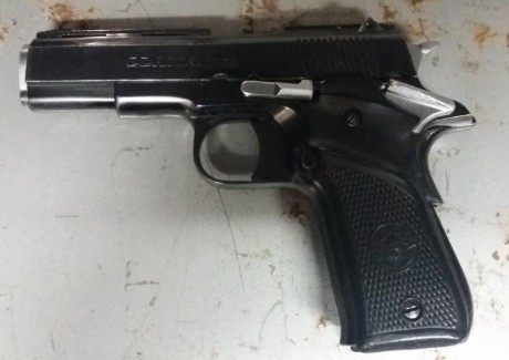 Vendo pistola de calibre 380 ACP, con dos cargadores, dos juegos de cachas, baqueta y caja de transporte. 00