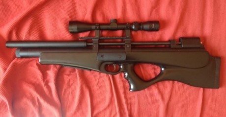 Se vende ONIX Bulk multitiro calibre 4,5 con visor 3-9x40 y funda, 450€ envío incluido, carabina sola 02