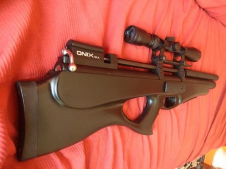 Se vende ONIX Bulk multitiro calibre 4,5 con visor 3-9x40 y funda, 450€ envío incluido, carabina sola 10