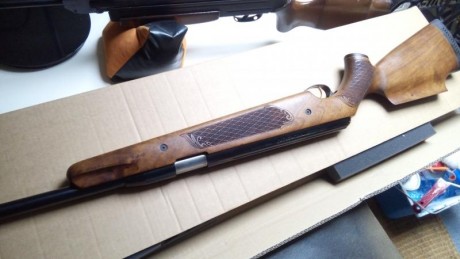 Hola, saco a la venta este ejemplar de Air Arms en muy buen estado .
 El precio 400€ mi tlf 655951887 02