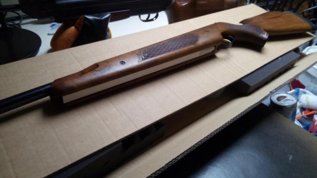 Hola, saco a la venta este ejemplar de Air Arms en muy buen estado .
 El precio 400€ mi tlf 655951887 01