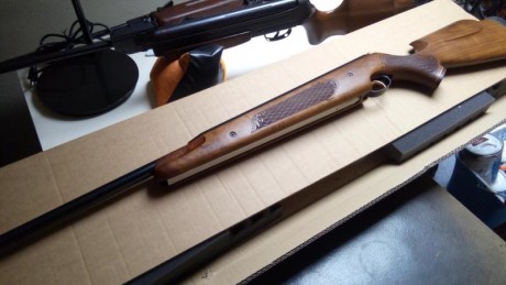 Hola, saco a la venta este ejemplar de Air Arms en muy buen estado .
 El precio 400€ mi tlf 655951887 00