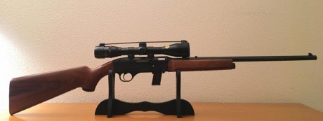 Vendo carabina marca  GEVARM (Made in France) C/ 22 LR  
Plegable, semiautomàtica, sistema inercial.
 02