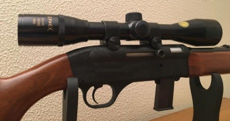 Vendo carabina marca  GEVARM (Made in France) C/ 22 LR  
Plegable, semiautomàtica, sistema inercial.
 01