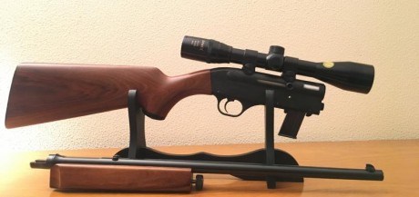 Vendo carabina marca  GEVARM (Made in France) C/ 22 LR  
Plegable, semiautomàtica, sistema inercial.
 00