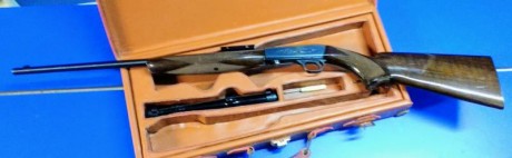 Se vende carabina desmontable Miroku Auto 22 en estado impecable, con visor y maletín de cuero.
Se puede 02