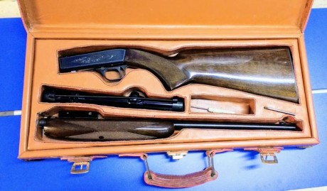 Se vende carabina desmontable Miroku Auto 22 en estado impecable, con visor y maletín de cuero.
Se puede 00