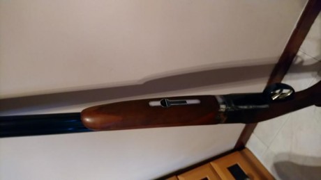 Buenas tardes
Vendo laurona superpuesta calibre 12, expulsora, dos disparadores, choques fijos de 3 y 11