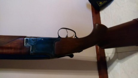Buenas tardes
Vendo laurona superpuesta calibre 12, expulsora, dos disparadores, choques fijos de 3 y 10