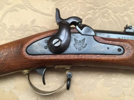 Vendo fusil de avancarga marca dikar modelo zouavo calibre .58

Para las modalidades de minnie y lamarmora 00